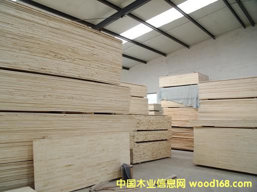 �����n�����ɲ�Ҏ��