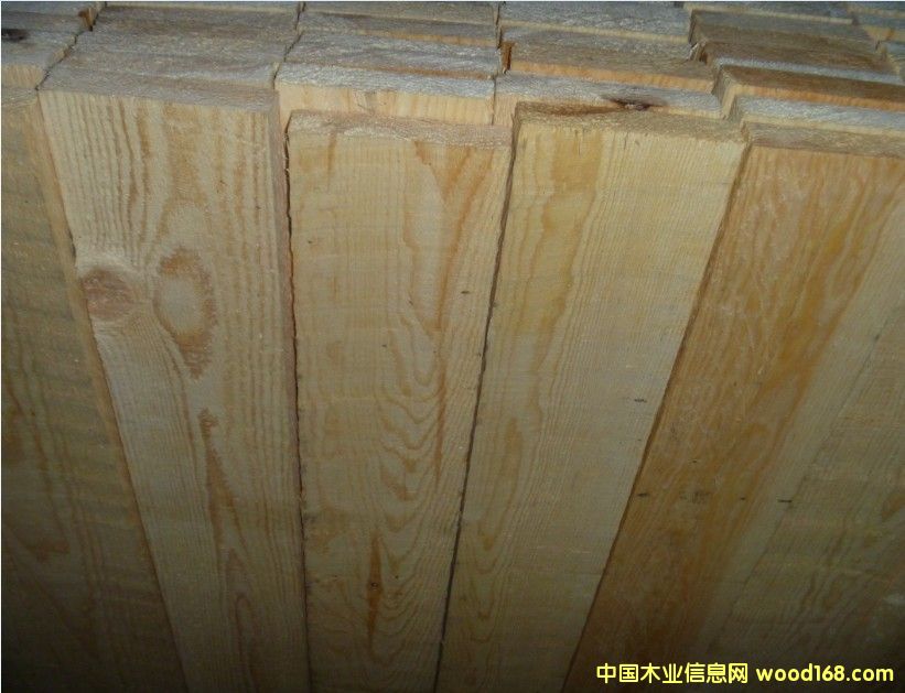 16/19���W����