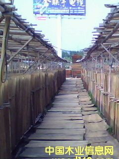 ��ľ��ȼ�а��Ԕ����B