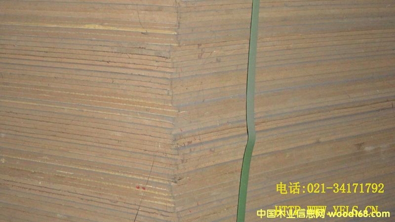 ���ܶ��w�S����N��ľ��Ԕ����B