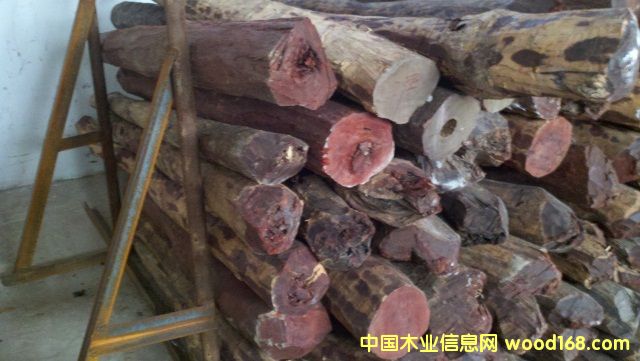 ��̴��Ԕ����B