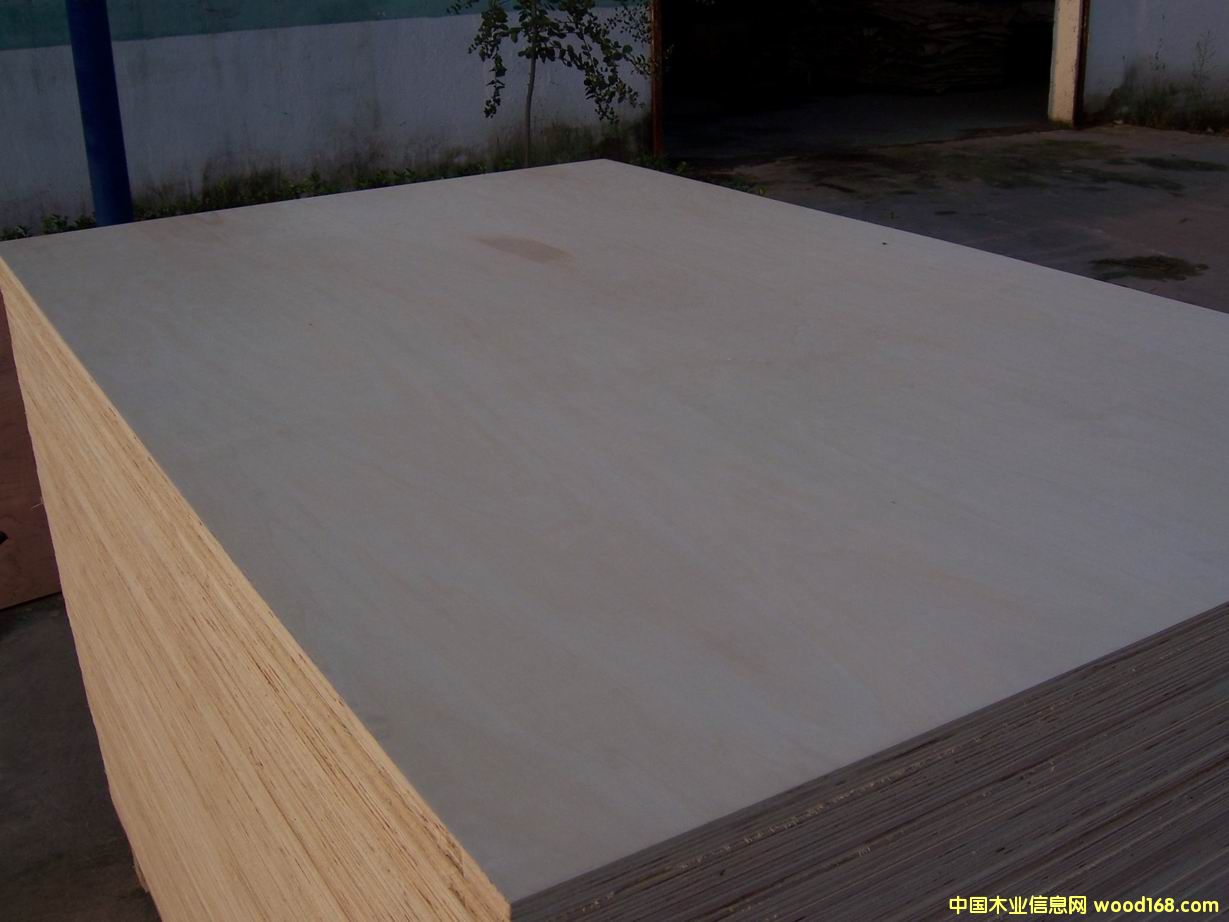 ��ľ�z�ϰ��Ԕ����B