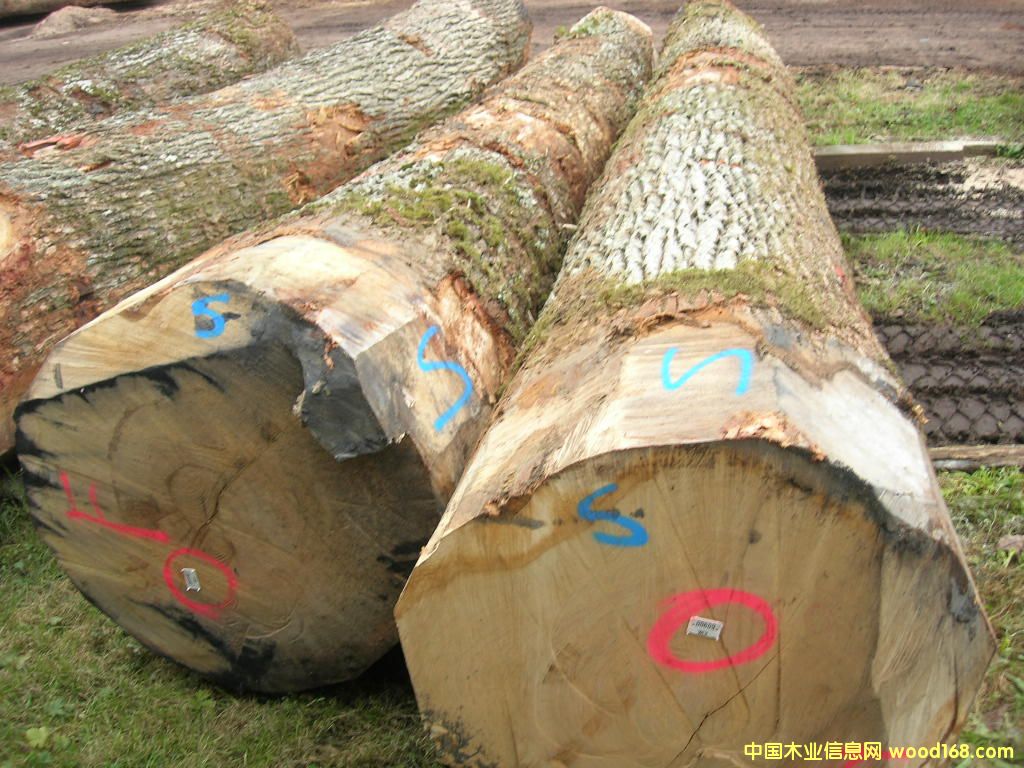 �W��ԭľ ��ĵ�Ԕ����B