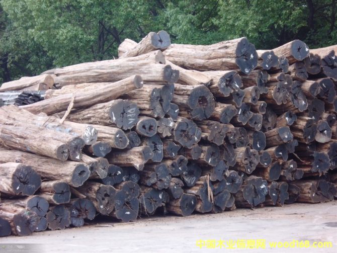 ��ľ��Ԕ����B