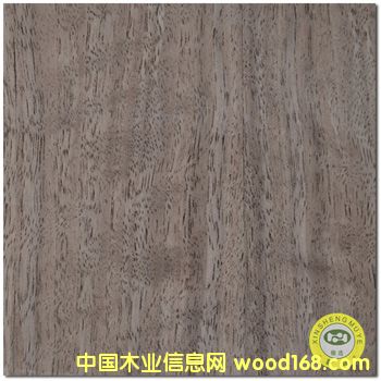 ���V��ʢ����Ȼ��Ӱֱ�y�ں���ľƤ����z�ϰ��Ԕ��(x��)��B