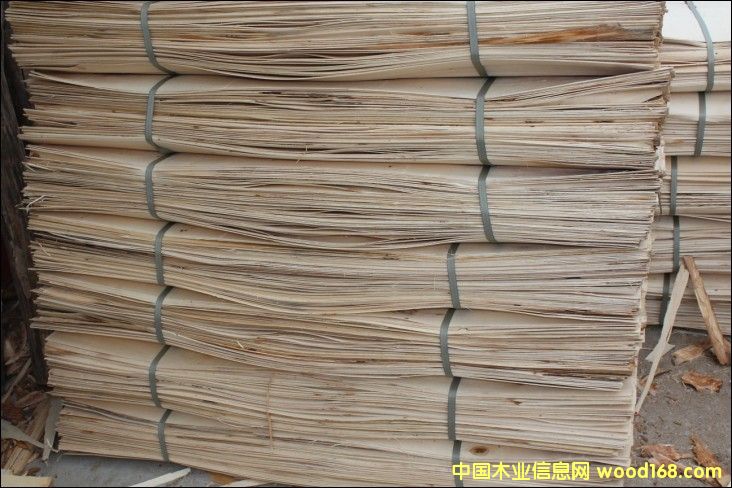 ��ľ�����×�ľ�ΰ�