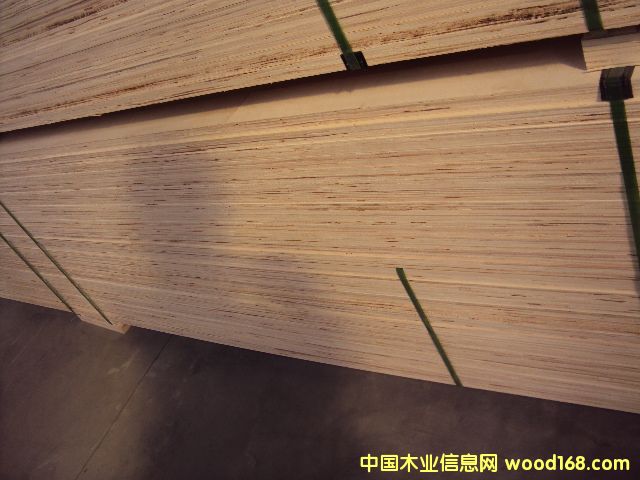 �����N�۰��b�×�ľ�ӷe��LVL��Ԕ��(x��)��B