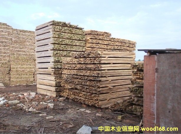 ����ɼľ����Ԕ��(x��)��B