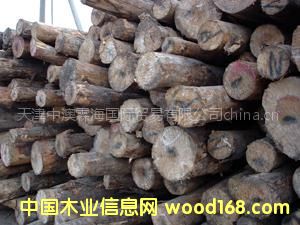 �����l�����bС���M�ڰ���ԭľ