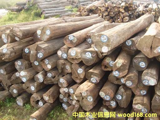 ������ľ����؛����Ԕ����B