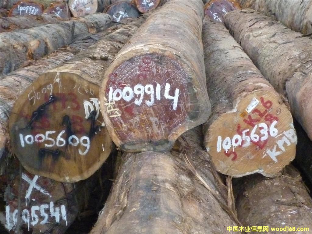 �����F���ӵ�Ԕ����B