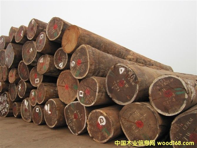 �G̴��Ԕ����B