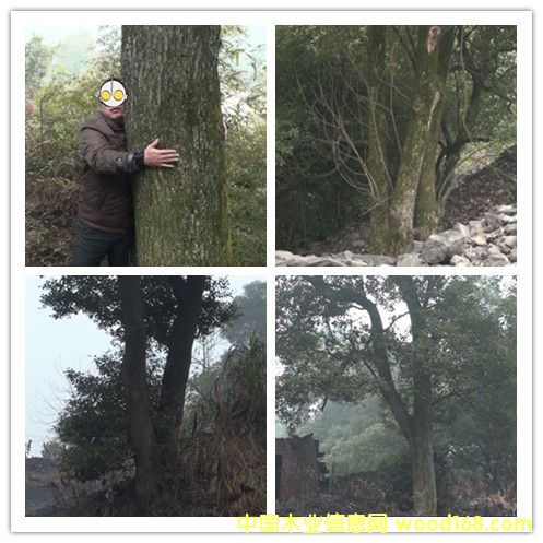 �������Ԕ����B