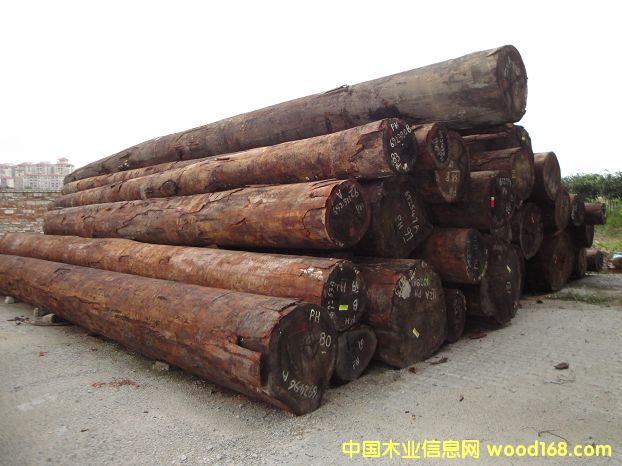 ���������Kľ��Ԕ����B