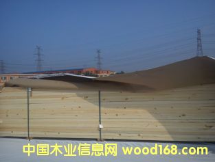 ���ô����ɼ��Ԕ����B