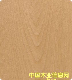 ��˨ɽ�y�ϙ��Ԕ����B