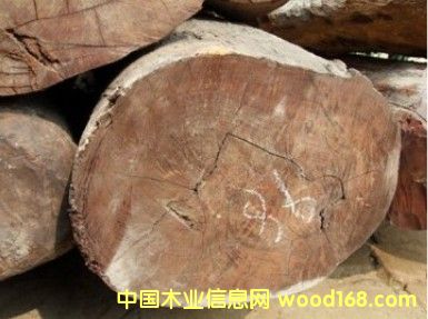 �Ჴ�����~��̴��Ԕ��(x��)��B