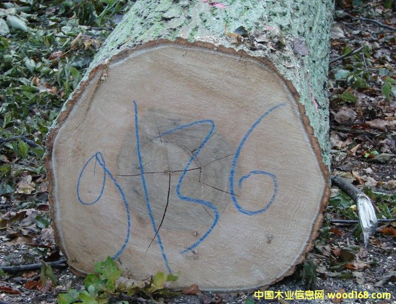 ˮ������Ԕ��(x��)��B