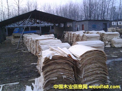 ��Ƥ��Ԕ����B