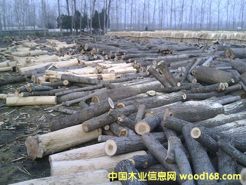 ��Ƥ��Ԕ����B