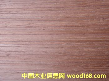 �t���ҵ�Ԕ����B