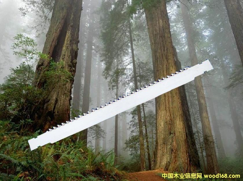 䏗l��Ԕ����B