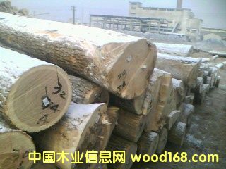 �؃�ˮ����ԭľ`��Ԕ����B