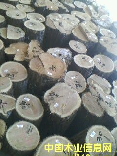 �؃��ľԭľ��Ԕ����B