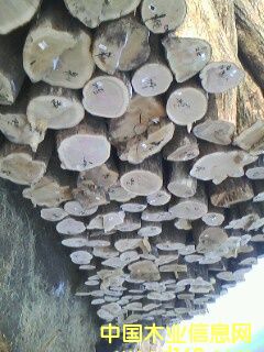 �؃���ľ��Ԕ����B