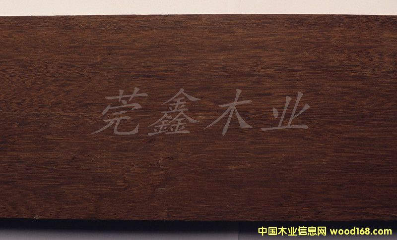 ������ľ�������u�ᣩ��Ԕ����B