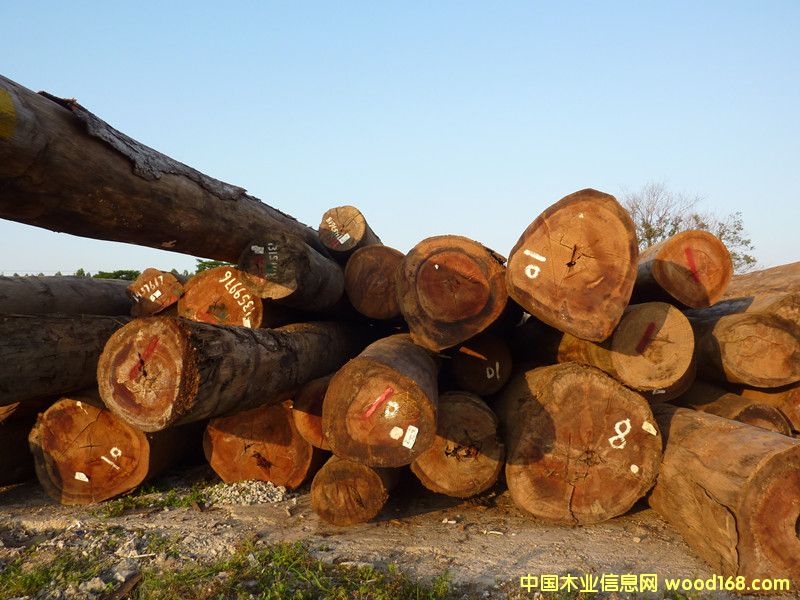 ����ԭľ��Ԕ����B