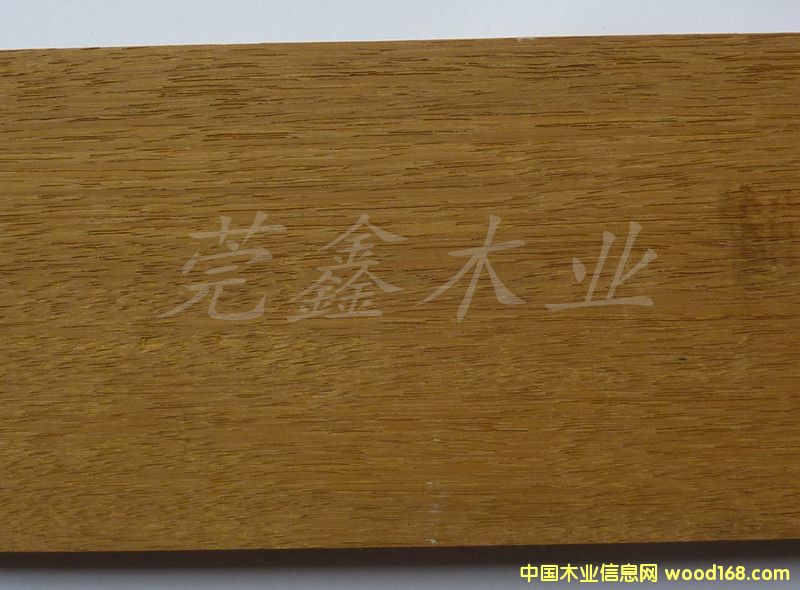 �S̴��Ԕ����B