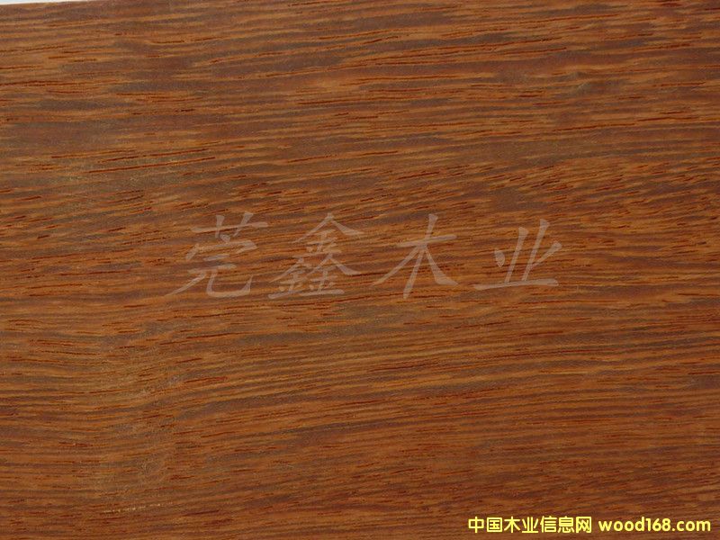 ���{����Ԕ����B