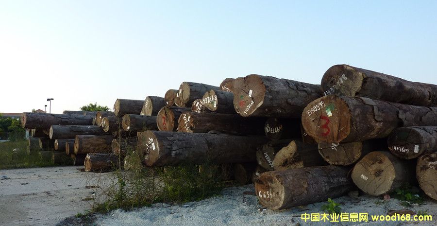 �����ߙnԭľ��Ԕ����B