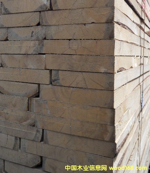 ������Ȼ����Ԕ����B