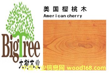 ��������ľ��Ԕ����B