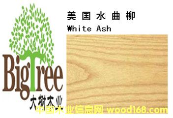 ����ˮ������Ԕ����B