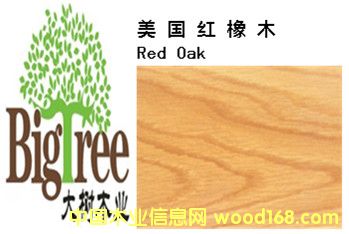 �����t��ľ��Ԕ����B