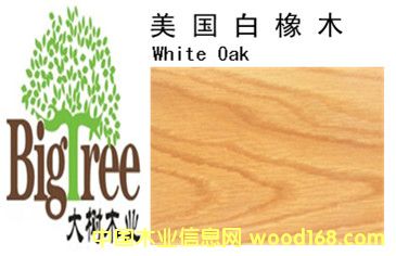 ��������ľ��Ԕ����B