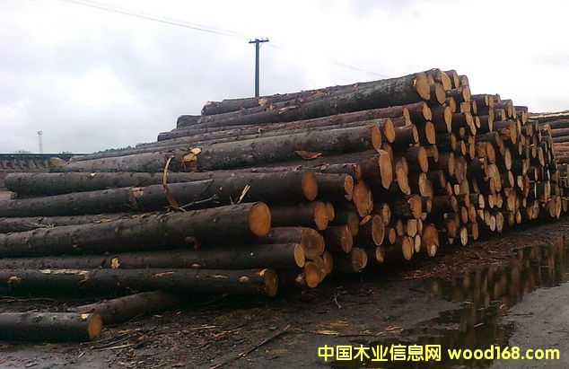 ��������ɼ��Ԕ����B