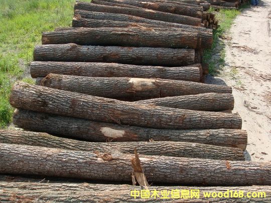 �����m�����Ԕ����B