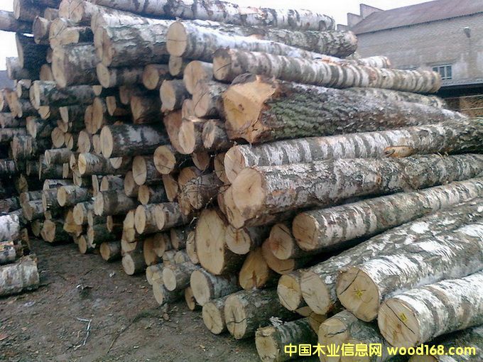 �������ľ��Ԕ����B