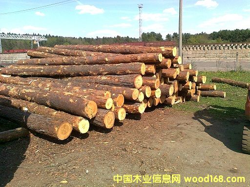 �����������ɵ�Ԕ����B