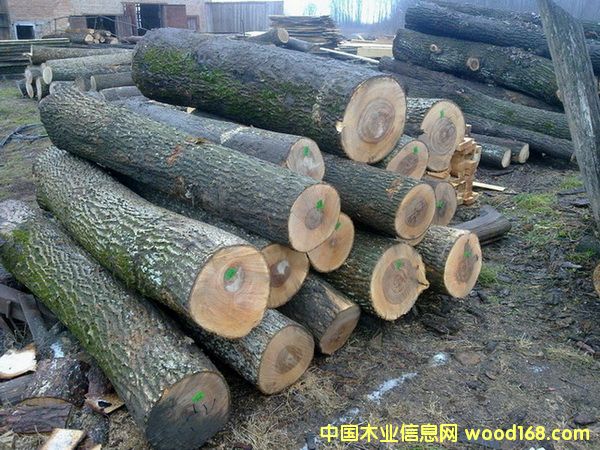 �����mˮ������Ԕ����B