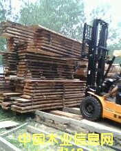 ��ľ����������Ԕ����B