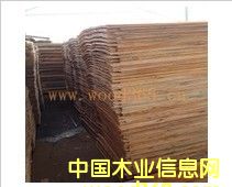 ��ľ�ΰ��Ԕ����B