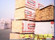 ����ľ����Ԕ����B