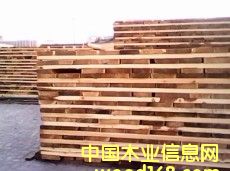 �M�ڼt�ɰ�ĵ�Ԕ����B