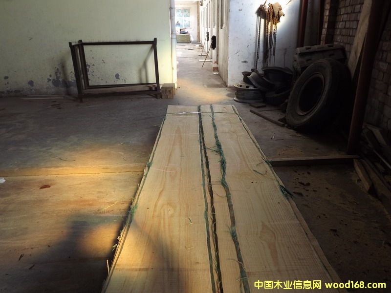 �����m��ݗ���ɣ��o�����