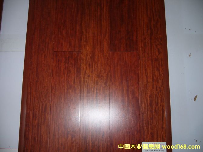 ����ľ��Ԕ����B